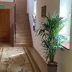 Gogreen ***